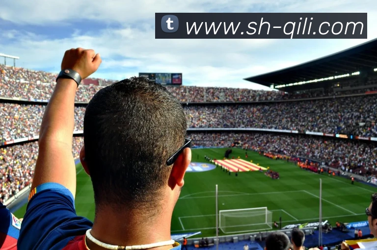 爱游戏ayxAPP 高清赛事图