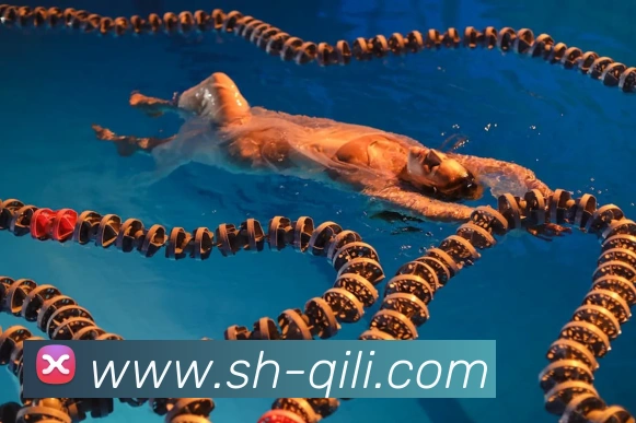 数据防护可视化